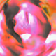87568977837208876755940390853545731448750324360627110567099572136427999199233
