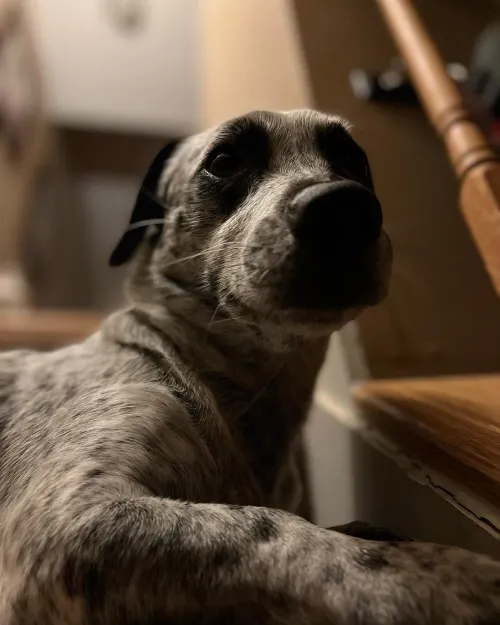 Item #87279537541239293044443852509026800086079610191985724262064823647074825273345 Media