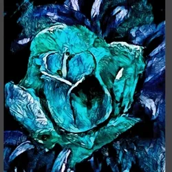 Story of a Rose