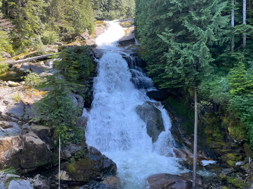 Item #18485528032262597472918495174298889113795988703892766399362971639806083203073 Media