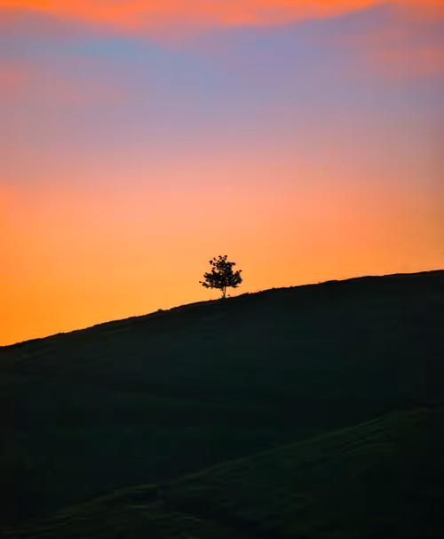 Item #87798985799507320700629747450071319071891674091342175736199796487189902131201 Media