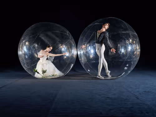 Item #98227430356298837060103829344695546217270943753946915637715863881048307793921 Media