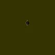 Live Polygon #0568