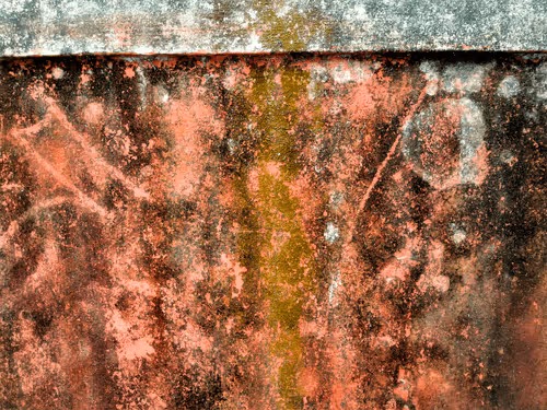 Item #77837778009088564188174628045169397065653229955612462896383264975823124299777 Media