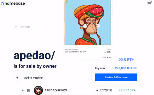 HNS NFTLD Opportunities