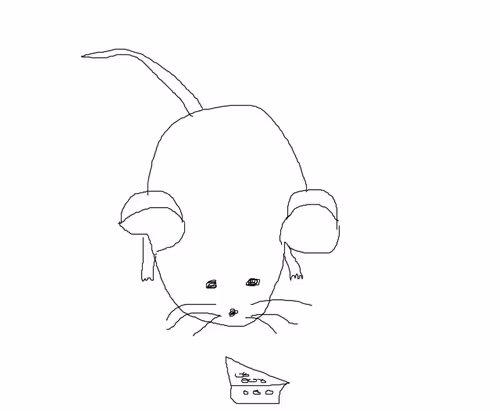 Item #28271705667446747903997203223887325689345780052675328633244753224108427182081 Media