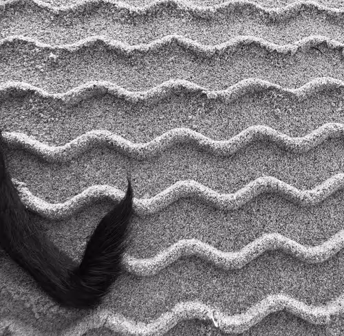 Item #56431751608181922231259635946092067407977788553703326303680802277765385551873 Media