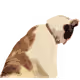 84029125642455646751627882964449646871643598257410714142822988245303837065217