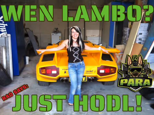 Item #84267802290559942954088594584353939466435851808707392301287009254680987435009 Media