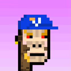 74102462919467914969717095429735039182952887560969299349115686449178669481985