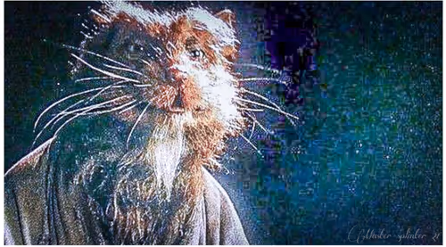 Item #20932334563389613161906904659180271940873563199458774112572303902759068893185 Media