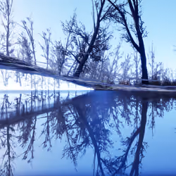 deconstruction of a winter landscape