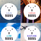 9095 Collection - old