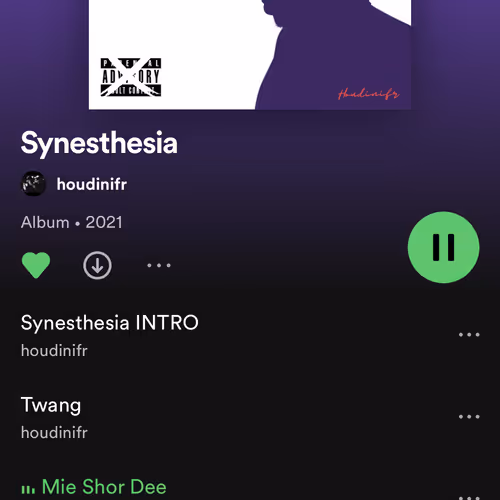 Synesthete Collection