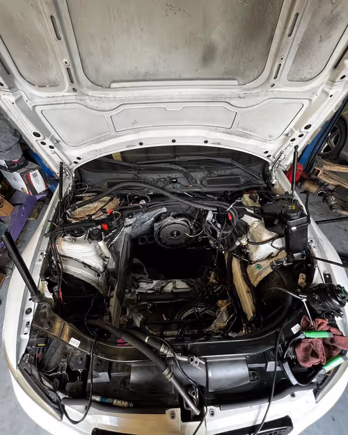 Item #72285103128433545043570108664580024825055092707049539899212595845054024646657 Media