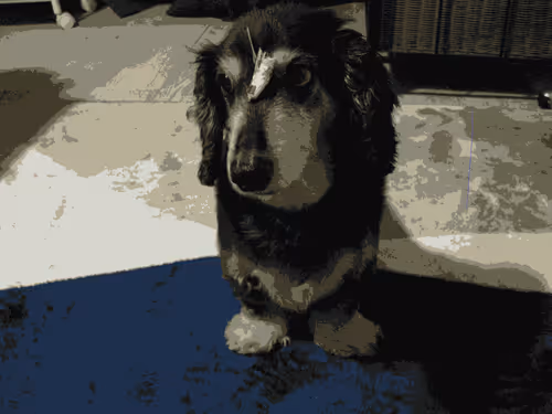 Item #31763483209557281269385879109424211242464800578644497247199877777229762002945 Media