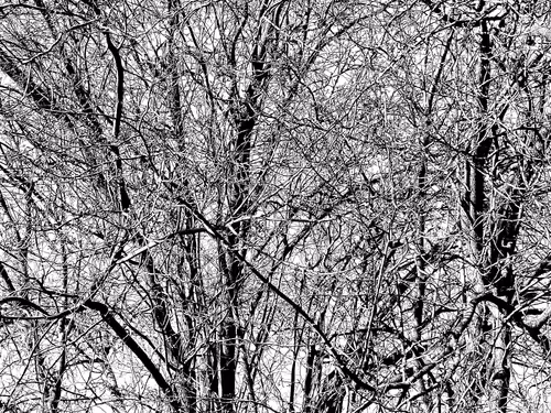 Item #13665938074563914331498291329920780757136253607588816979915017145271204184065 Media