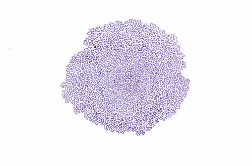 Item #56231055166534768819260761756004250554455450585187543117911899969415859404801 Media