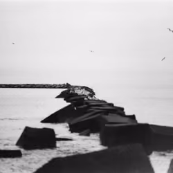 Jetti