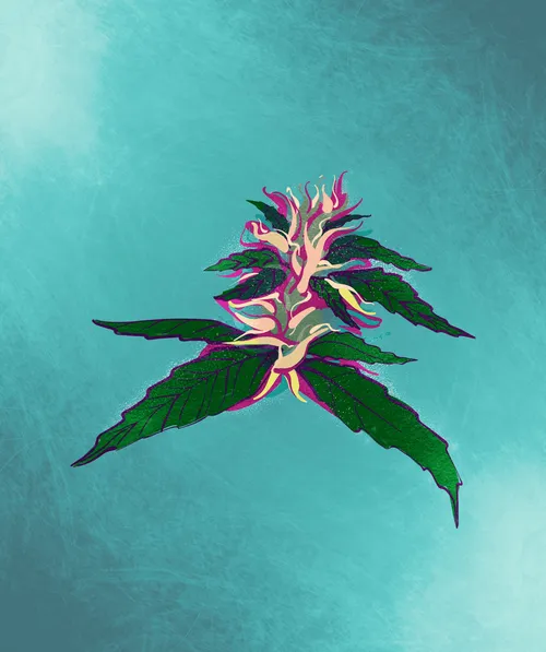 Item #88173920956366532206384104525204378846175092179682069740847406052944562356225 Media