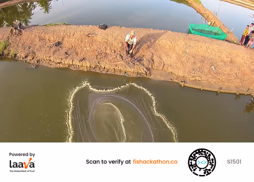 Item #75409383365909662742797353960547032942445262958910293626622653915313976901633 Media