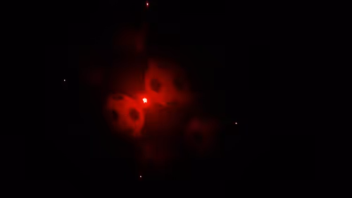 Item #106036389958340571888404967882028610861262849120654994862775681323103871303681 Media