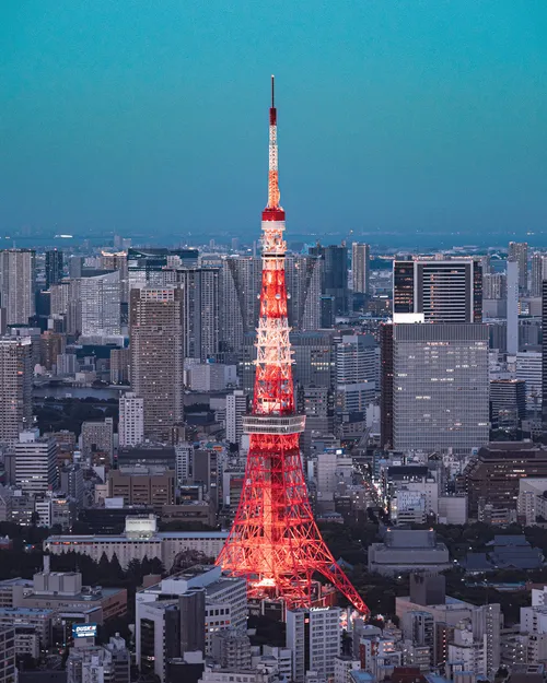 Item #112238918999279188162345983200387422450369680175959231698809594207333391532033 Media