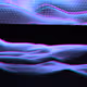 81000349583626805459949050477103678360194117069500934513787787840134068568065