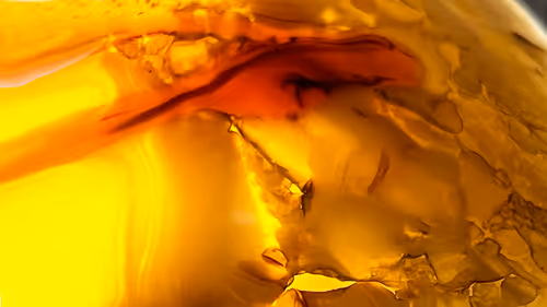 Item #101722242459461766671850244672997948412133570446471513908012687117614963490817 Media