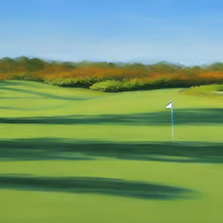 The Links Collection IX