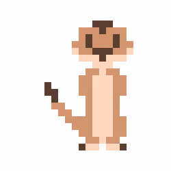 Timon