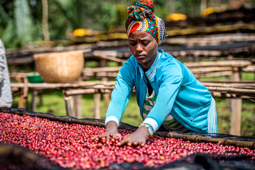 Item #50027882237522295676960542276708360859068113986169674979910834158193375969281 Media