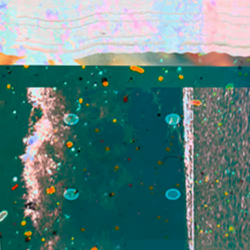 Item #70871789297038847474936990980642128639466396977418564409853881952579706945537 Media