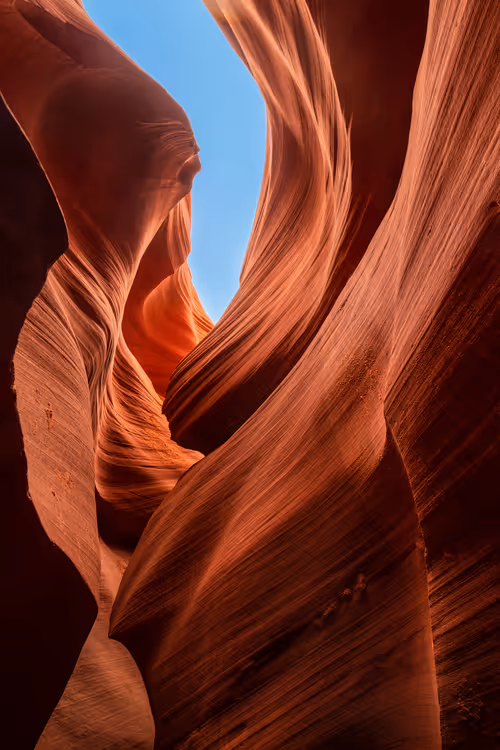 Item #104222477878936975550568713233497043538790385416897933242955975565036732022785 Media