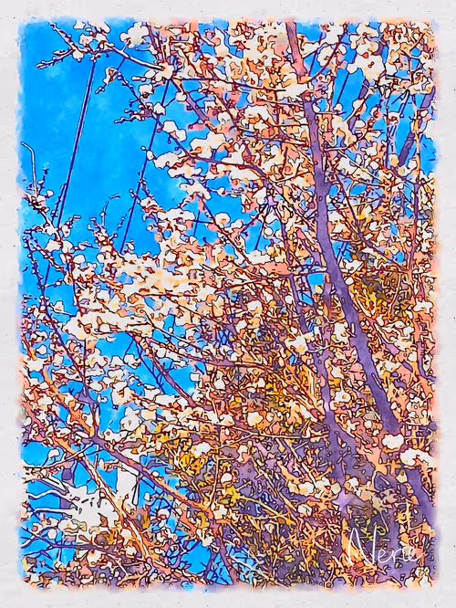 Item #92705045369588921962416214614601804579407099277882560145637197043447197859841 Media