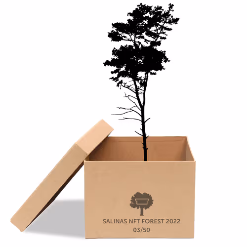 Item #63532776318757439562276927313719991273687356279339277108967620948636070838273 Media