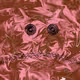 110477367974344333334426119394026957966301743763293328063595940787854042464257