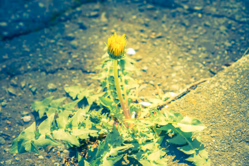 Item #87724672545568216492349628543176573267958151988335217142690977304824250368001 Media