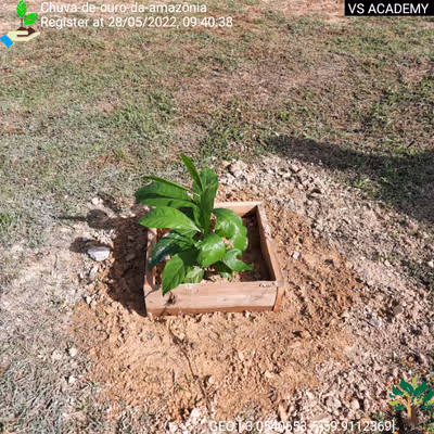 Item #8500196597889277390194123329501889087166328879864934763448348778636337217537 Media