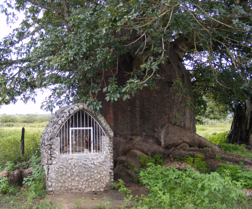 Item #79891436161549541429884862344900251113171213125295126698961100639466638278657 Media