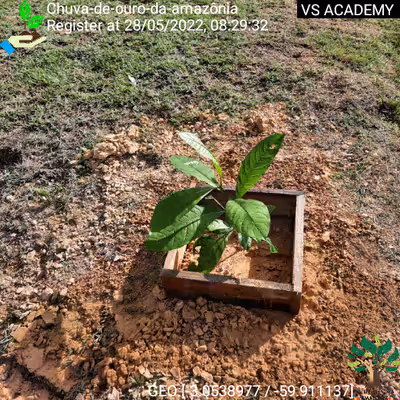 Item #8500196597889277390194123329501889087166328879864934763448348775337802334209 Media