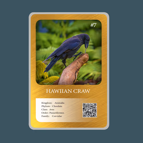 20886832718642689244376634643648949640883698673827989316943493371676032237569