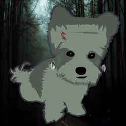 Baby Boy Frankenstein-02