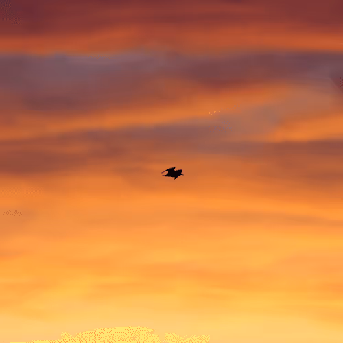 Ground Level Editions