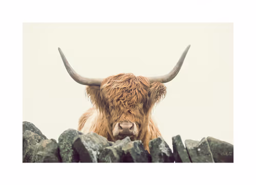 Item #96661707284894299444635219906598425654694917167299737376541026854983327285270 Media