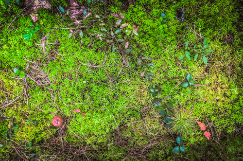 Item #78614967916850878758896281278088562819031429561597845143063367971721409724417 Media