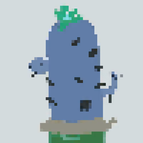 cactus_artist Collection