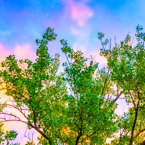 Item #35965218379738729691291467168286792303482134167127854404987491554799552299009 Media