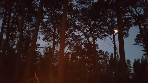 Item #27084933220052464444654272208762827039666035184275575188108591519526341836801 Media