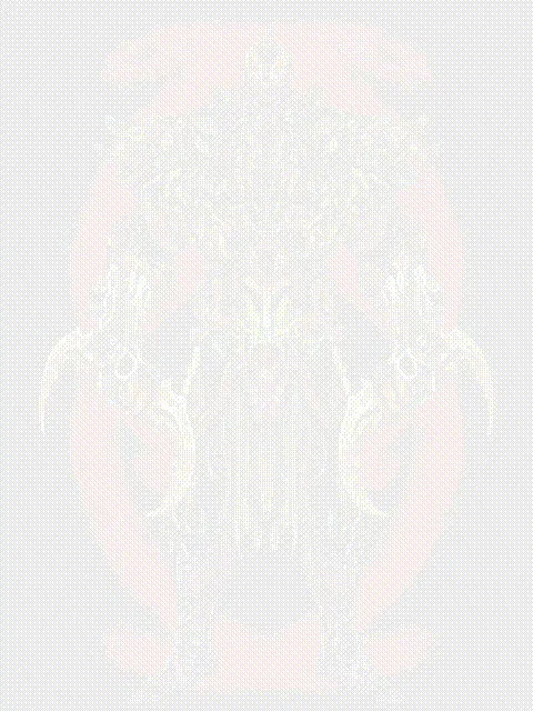 Item #102836583081068701548748743072409694043485593620666015223978525988360768454657 Media